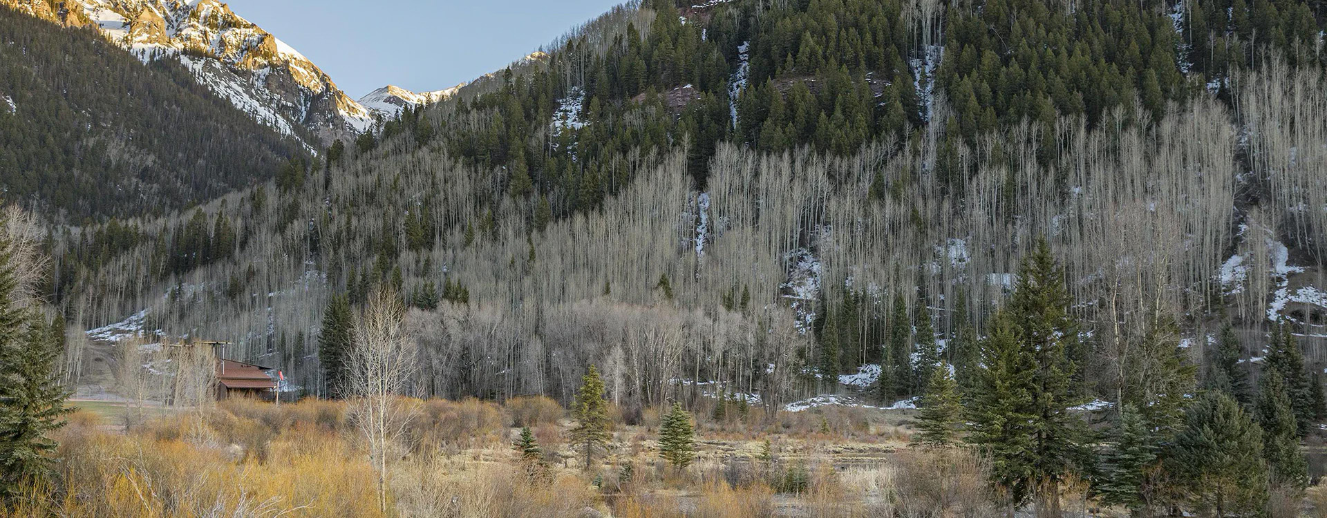 7-telluride-modern-willow-view-ballard-park