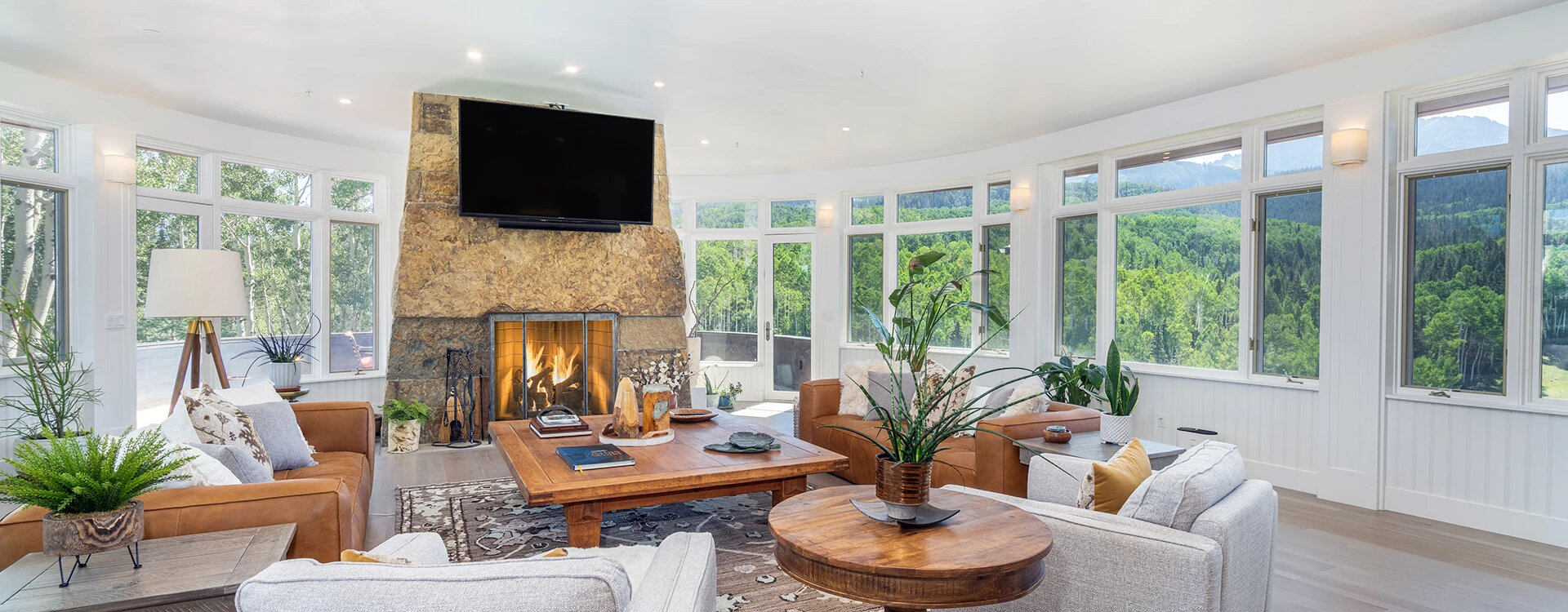 turkey creek telluride living room